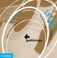 GALLI STRINGS LS1356